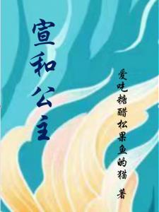 宣公主和宣妃什么关系